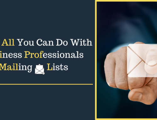 Professionals Mailing Lists, What All You Can Do With Business Professionals Mailing Lists